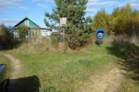 Деревня    Зайцево (Веревская волость)