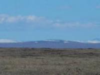 Лиза Санджиева