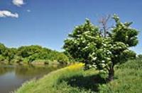 Деревня    Надеждовка