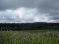 Деревня    Шарапово