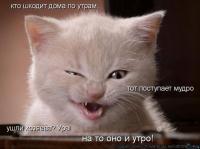 Василий Васильев