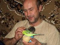 Владимир Белоусов