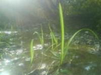 Село Кандабулак