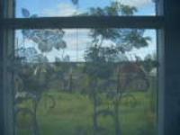 валентина шестакова