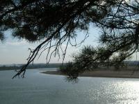 Деревня    Новоянтузово