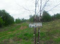 Деревня    Малиновка