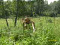 Елизавета ЧеснАкова