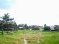 Деревня    Савинобор