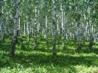  Наталья Агеева