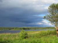 Деревня    Микулино