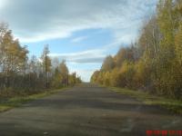 Деревня    Новоянтузово