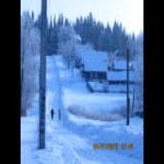 Татьяна Галкина