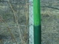 Александр Мурашев