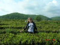 Екатерина Воробьёва