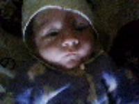 поселок Тарки