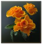 Любовь Усманова