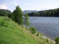 Диана Кандаракова