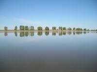 Деревня    Новоянтузово